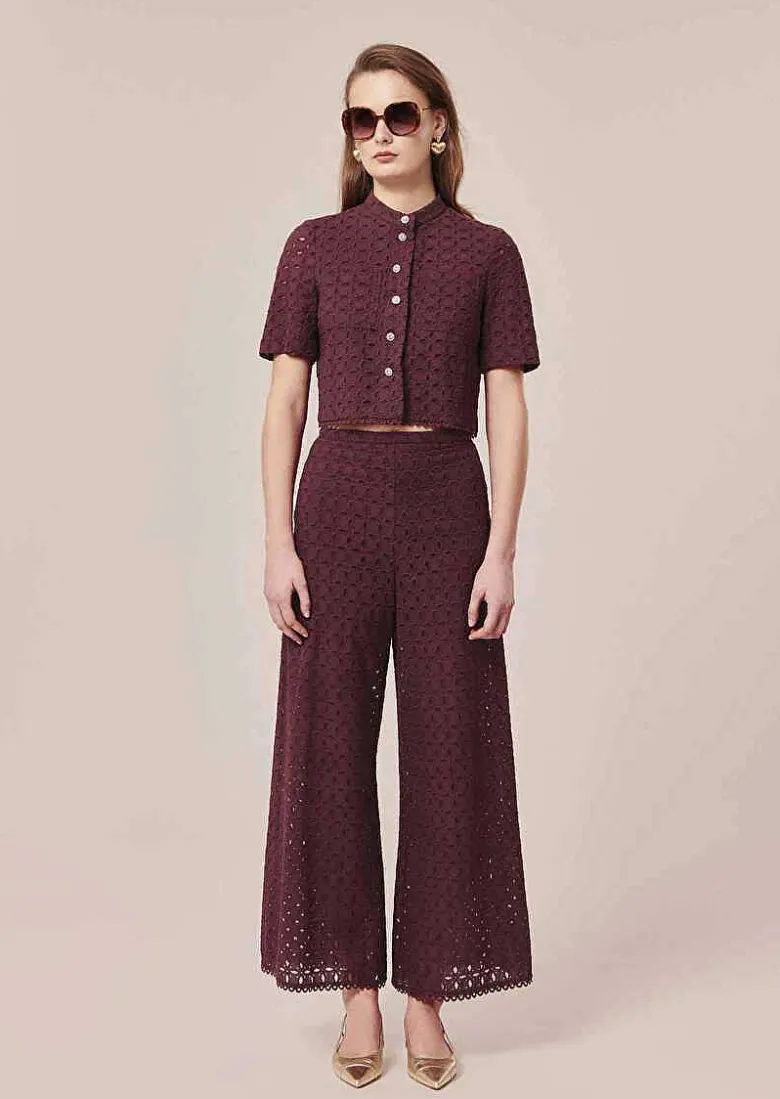 TARA JARMON Paquita Brown Embroidered Pants Hot